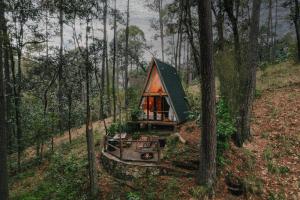 a tiny house in the middle of the woods at WANDER CABINS Valle de Bravo in Valle de Bravo