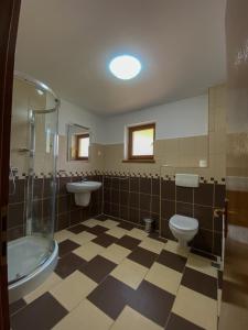 a bathroom with a toilet and a shower and a sink at Panorama Pietrei Craiului in Zărneşti