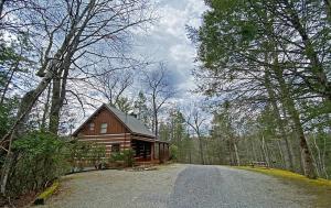 a log cabin in the middle of a forest at Ivy Retreat in Sevierville