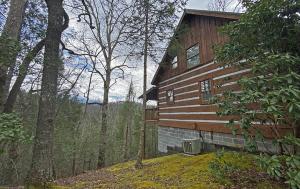 a wooden house in the middle of a forest at Trails End- Your Romantic Getaway Awaits! in Sevierville