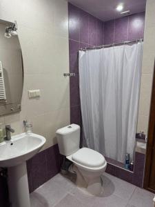 a bathroom with a toilet and a sink and a shower at Afyan's guest house in Yerevan +19 photos