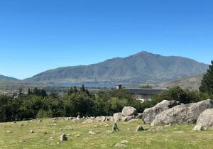 a group of rocks on a field with mountains in the background at Atahualpa Yupanqui 2 in Tafí del Valle +3 photos
