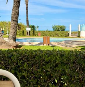a swimming pool in a resort with a palm tree at Precioso bungalow con piscina en 1a Linea Playa in Denia