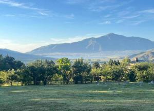a field with trees and mountains in the distance at Atahualpa Yupanqui 2 in Tafí del Valle