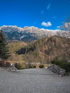 a large driveway with mountains in the background at Panorama Pietrei Craiului in Zărneşti