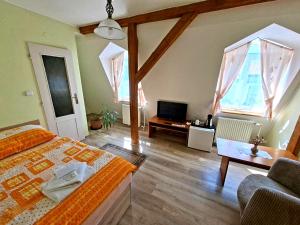 a bedroom with a bed and a tv and a couch at Hotel Alster in Jevíčko