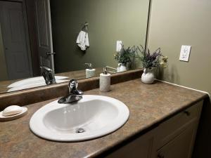 a bathroom counter with a sink and a mirror at Cozy 2BR Getaway Quiet & Relaxing in Langley