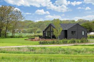 a black house with a black roof on a field at 30458-Odder-Strandvaenget-44 in Odder