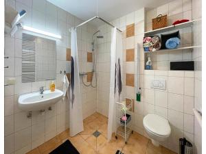 a bathroom with a sink and a toilet and a shower at Ferienwohnung im Erholungsort Suhl in Suhl