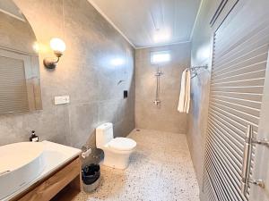 a bathroom with a toilet and a sink and a shower at The Peacock Inn in Ubud