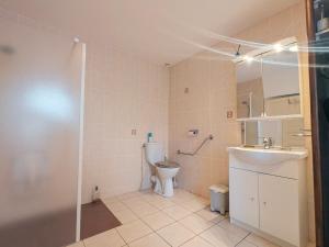 a bathroom with a toilet and a sink and a shower at Maison avec parking - 7 pers. - FR-1-591-784 in Éguzon-Chantôme