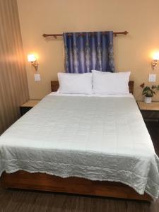 a bedroom with a large white bed with a blue curtain at Tam coc lotus lake homestay in Ninh Binh +5 photos
