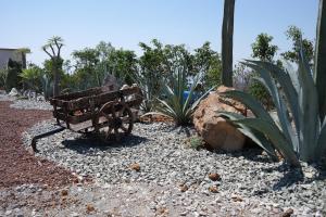 a garden with a wooden bench and a rock at Wellness Pet Friendly El Secreto in Tepoztlán