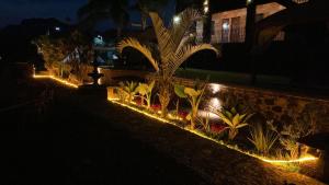 a garden with lights on a wall at night at Wellness Pet Friendly El Secreto in Tepoztlán