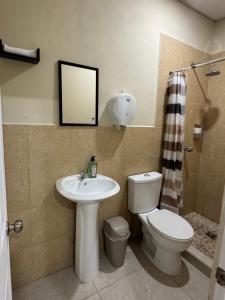 a bathroom with a sink and a toilet and a mirror at Ducky4 in San Miguel
