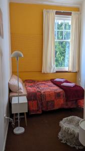 a bedroom with a bed and a window at Ranfurly Hostel with Sauna in Ranfurly +21 photos