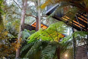 a house in the jungle with trees and plants at Unique Guatapé in Guatapé