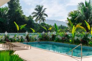 a swimming pool in a resort with palm trees at Yellowstone Resort Arambol in Arambol