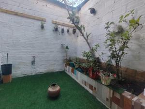 a room with potted plants on a wall at Curuwasi in Moyobamba