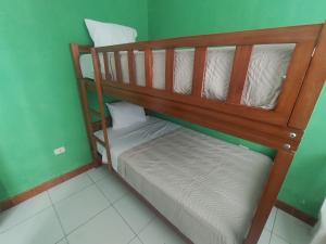 two bunk beds in a room with green walls at Curuwasi in Moyobamba