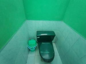 a bathroom with a black toilet and a green wall at Curuwasi in Moyobamba