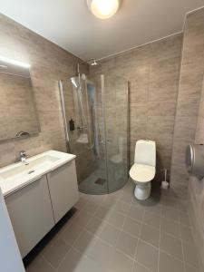 ein Badezimmer mit Dusche, Toilette und Waschbecken in der Unterkunft Vreta Hotel in Vretarna
