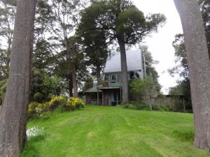 a house sitting on top of a lush green field at Mairenui Rural Retreat in Ruahine