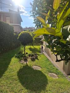 a garden with two trees in the grass at "Alsos View" in Agrinio