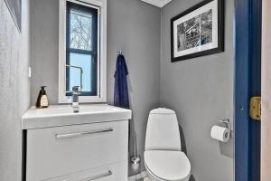 a bathroom with a toilet and a sink and a window at SB122-Augustenborg-Gronvej-3 in Asserballeskov +23 photos