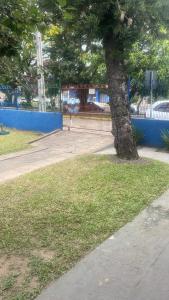 a tree in a park next to a fence at CampAmbrosi in Sapiranga
