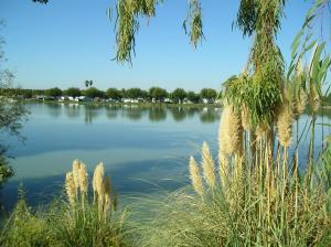 Naturlandskabet i nærheden af ferieparken