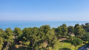 an aerial view of trees and the water at CasAmare in Montesilvano +5 photos