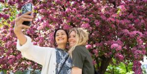 two women taking a picture of a flowering tree at Lapland Hotels Tampere in Tampere