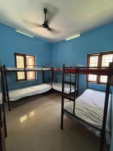 two bunk beds in a room with blue walls at CK Enclave in Jāmb