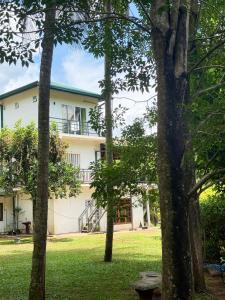 a white building with trees in front of it at Hillcrest Bungalow in Matale