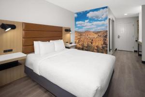 a hotel room with a large bed and a view at Wingate by Wyndham Los Alamos in Los Alamos +30 photos