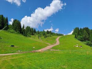 a grassy hill with a dirt road on it at Chalet Scoiattolo Residence Sussy in Falcade