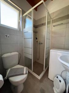 a bathroom with a shower and a toilet and a sink at Tsitsinos maisonette house in Zekros +30 photos