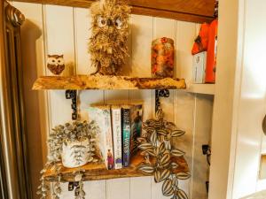 a shelf on a wall with books and owls at Twit Twoo Shepherds Hut in Louth