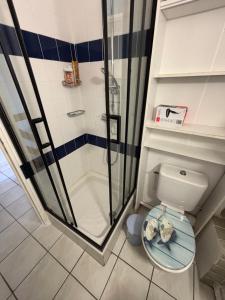 a bathroom with a shower and a toilet at La mer en liberté in Gruissan