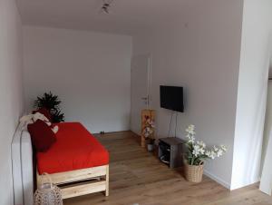 Televisor o centre d'entreteniment de Ferienwohnung Aflenz