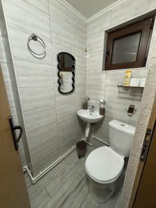 a bathroom with a toilet and a sink at Vila KTM Lisine in Despotovac +97 photos