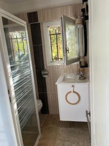 a bathroom with a toilet and a sink and a shower at Studio avec double terrasse Roquefort les Pins in Roquefort-les-Pins