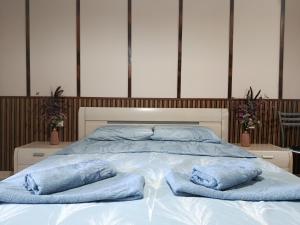 a bed with two blue pillows on top of it at Blue Marina Sunset in Sozopol