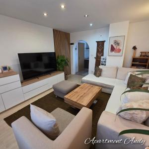 a living room with a couch and a tv at Apartment Andy in Medvode
