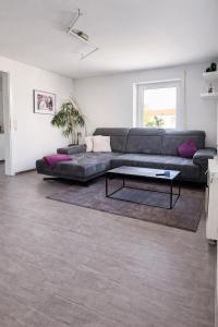 a living room with a couch and a coffee table at Family & Work Apartment in Schopfloch