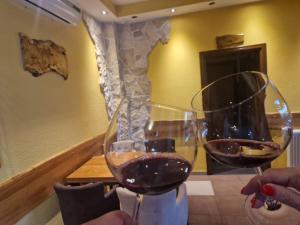 a person holding a glass of red wine at Plitvice Palace Rooms - Adults Only in Grabovac