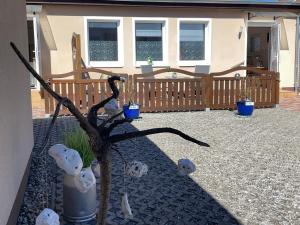 a garden with a tree and some plants in front of a house at Ferienwohnung in der Seestraße in Sassnitz
