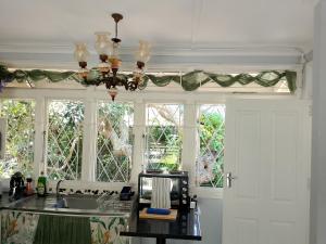 a kitchen with a counter with a sink and windows at Milkwood Haven in Pennington