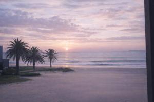 two palm trees on the beach at sunset at Sunset View 23 in Langstrand